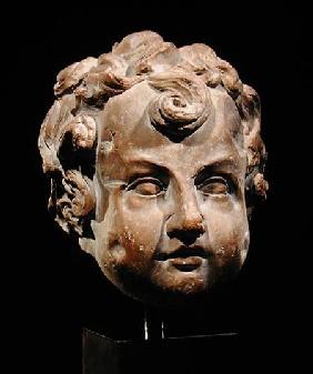 Head of a Boy c.1600