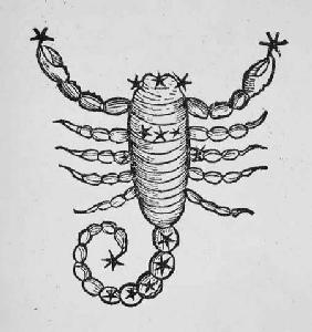 Scorpio (the Scorpion) an illustration from the 'Poeticon Astronomicon' by C.J. Hyginus, Venice 1485