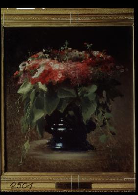 Blumenstrauß. Phloxen 1884