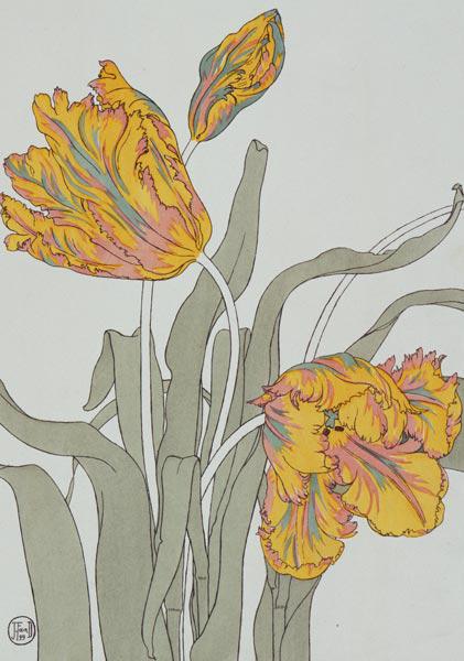 Tulip by J. Foord (fl.1890) plate 16 from 'Decorative Flower Studies' pub. 1901 1899