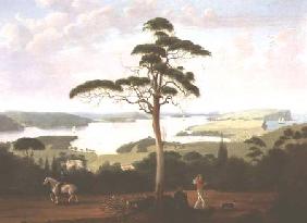 Sydney Harbour looking towards the Heads 1848