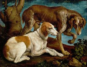 Zwei Jagdhunde, an einen Baumstumpf gebunden 1548