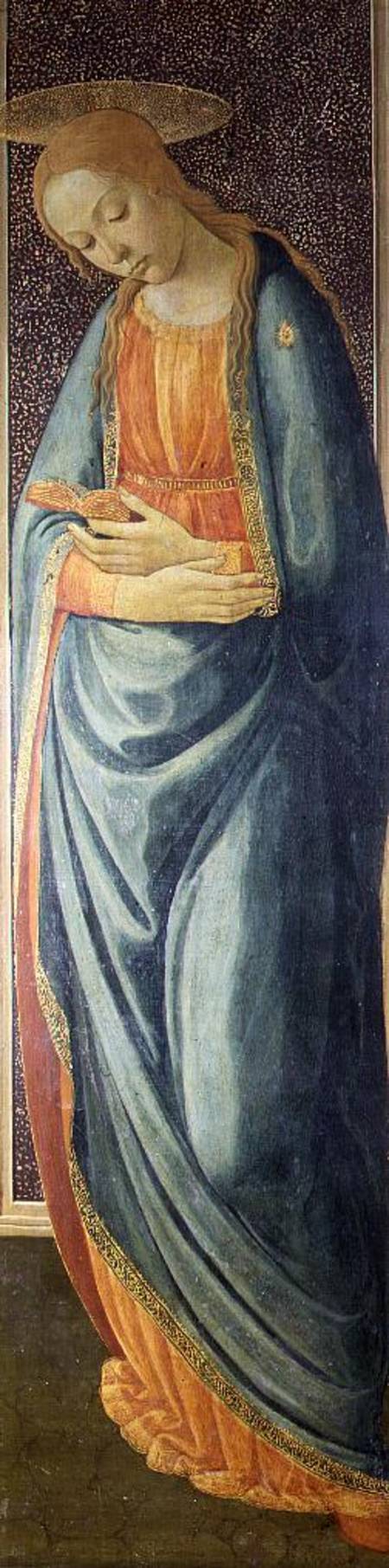Virgin Mary von Jacopo del Sellaio