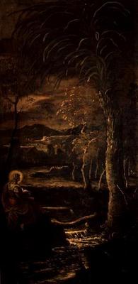 St. Mary of Egypt in the Wilderness von Jacopo Robusti Tintoretto