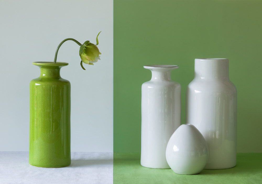 Leere Vasen von Jacqueline Hammer
