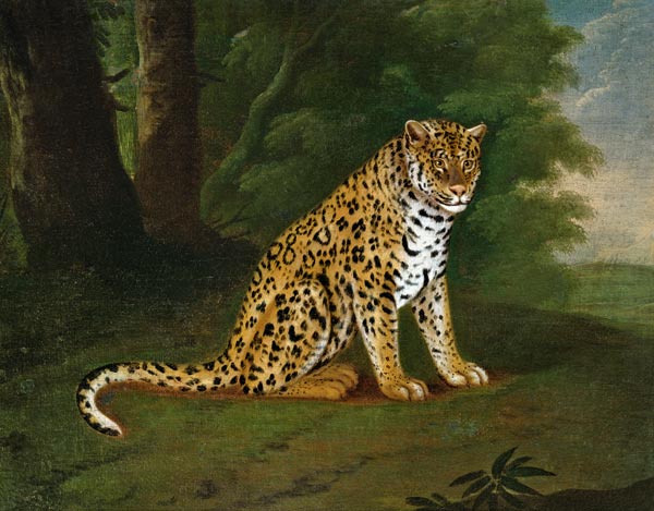 A Leopard in a landscape von Jacques-Laurent Agasse