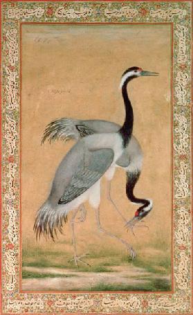 Cranes 1775