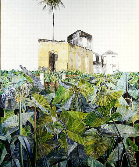 Ruin in a Swamp, Haiti, 1971 (oil on canvas)  von  James  Reeve