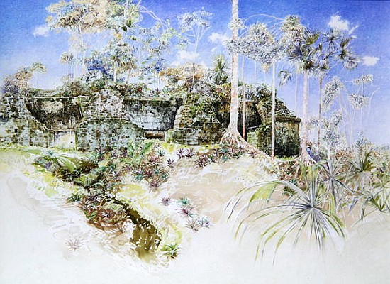 Ruined Temple, Tikal, Guatemala, 1984 (w/c on paper)  von  James  Reeve