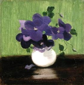 Violets c.1900