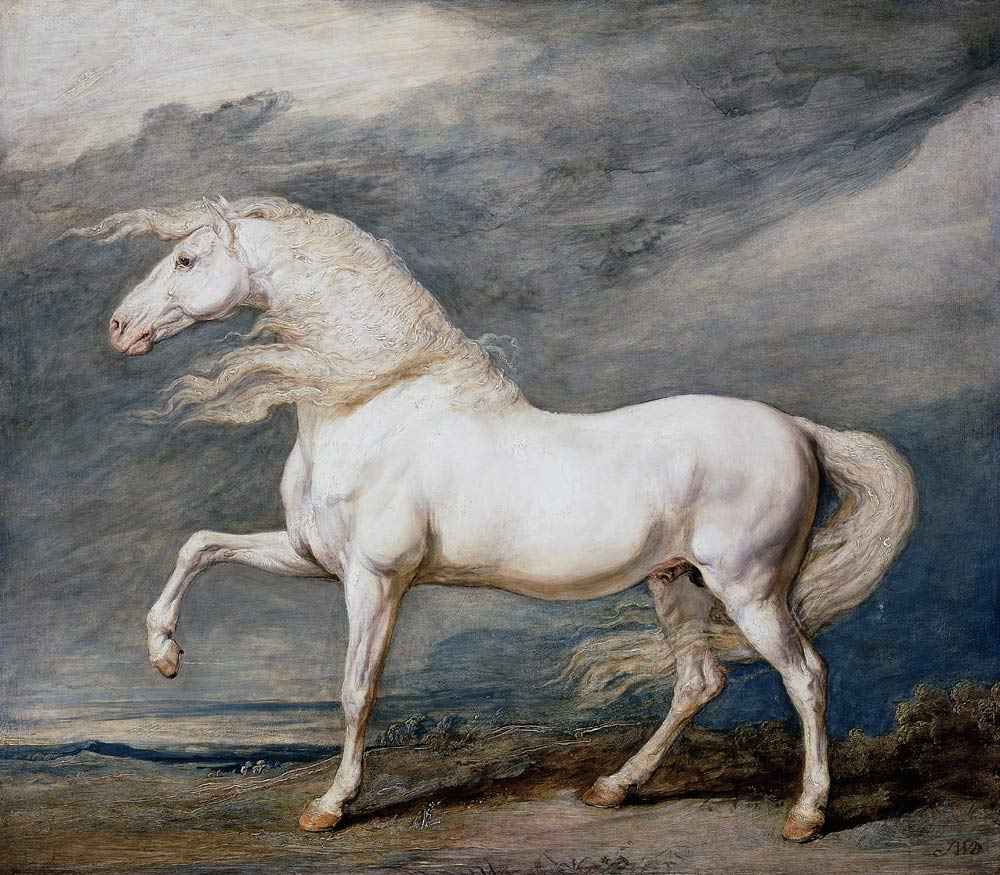 White Stallion von James Ward