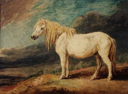 Shetland Pony von James Ward