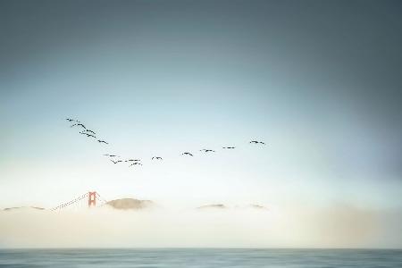 Morgennebel in der Golden Gate Bridge