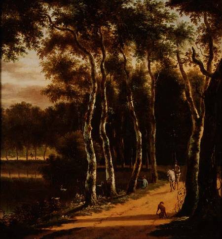 An Avenue of Birches Beside a River von Jan Hackaert