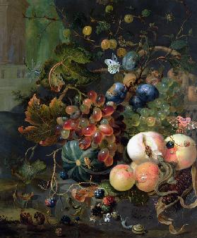 Still Life of Fruit and Insects