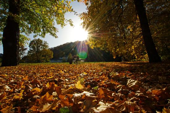 Herbst in Greiz von Jan-Peter Kasper