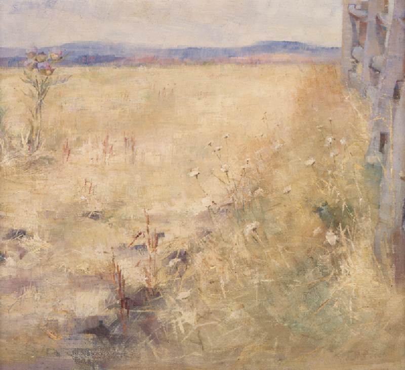Ploughland im Sommer um 1900 von Jane Price