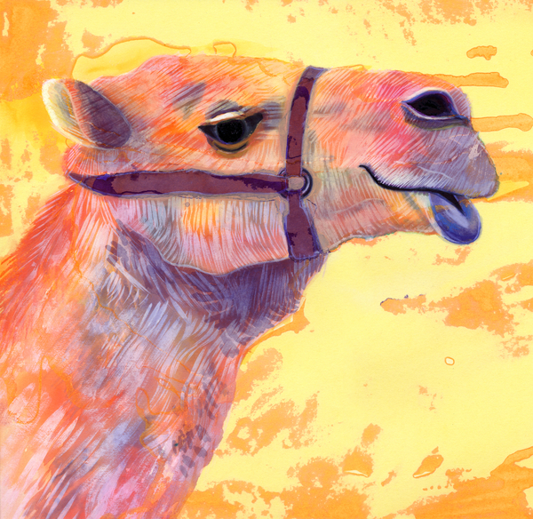 Camel von Jane Tattersfield