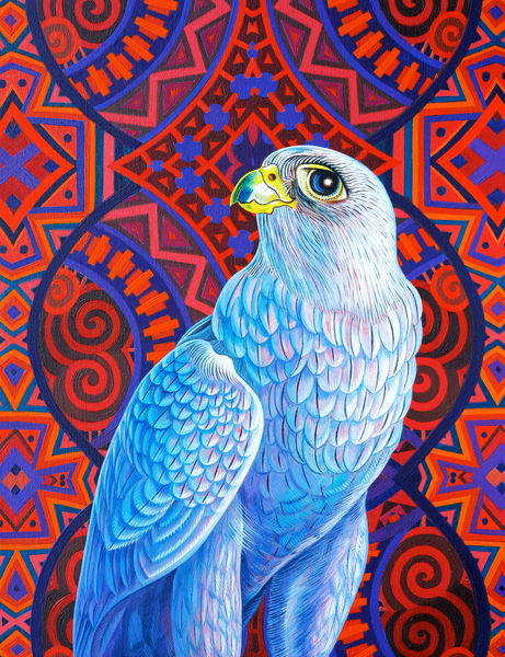 Grey falcon von Jane Tattersfield