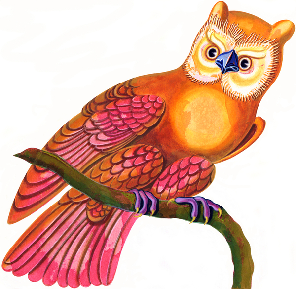 owl von Jane Tattersfield
