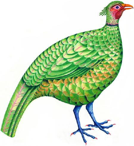 Pheasant 1996