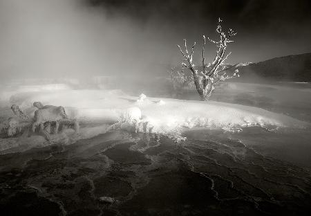 Mammoth Hot Springs,2009