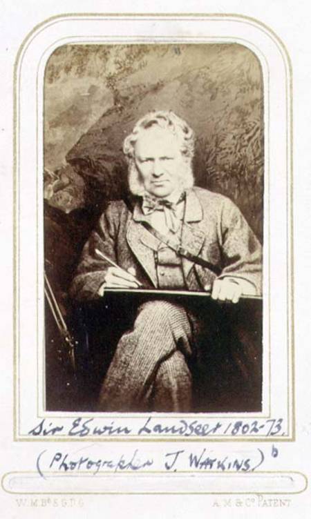 Portrait of Sir Edwin Landseer (1802-73) (albumen print) von J.C. Watkins
