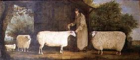 A Shepherd with his Flock 1837