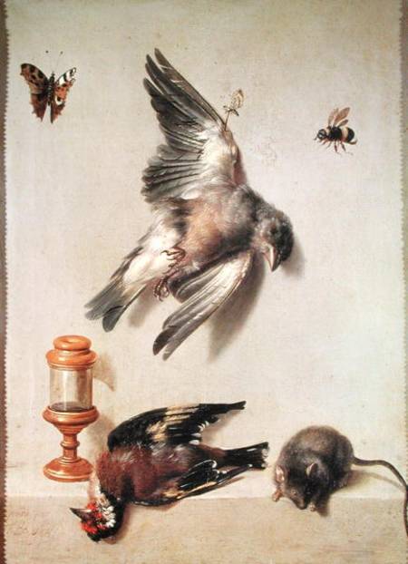 Still Life of Dead Birds and a Mouse von Jean Baptiste Oudry