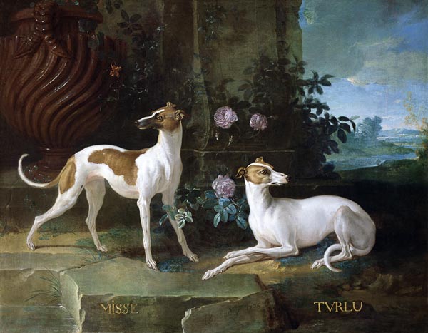 Misse and Turlu, two greyhounds of Louis XV von Jean Baptiste Oudry