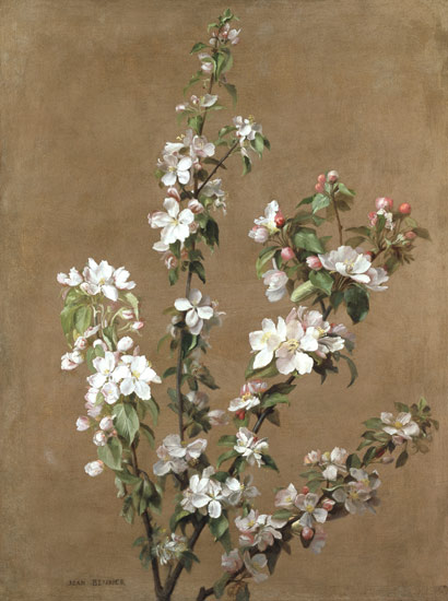 Apple Blossom von Jean Benner