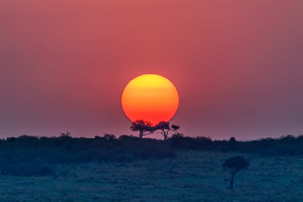 Equatorial sunset von Jeffrey C. Sink