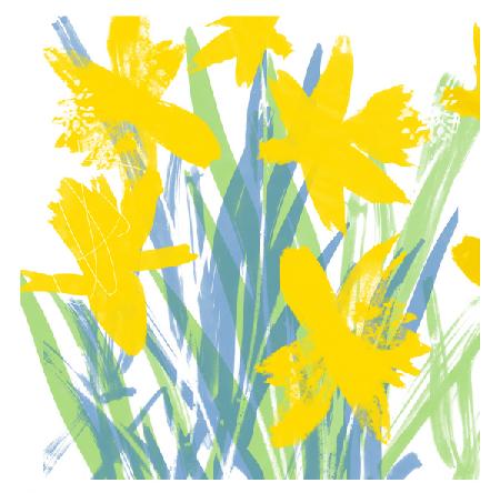 Spring Daffodils 2018