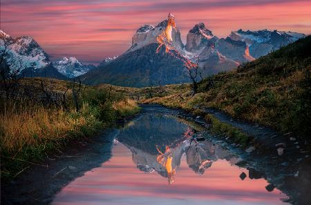Cuernos Del Paine Sonnenaufgang