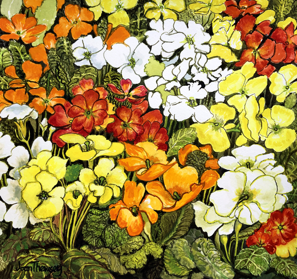 Primrose Border, white, yellow, orange and red primroses von Joan  Thewsey