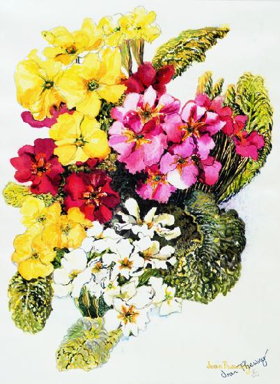 Primroses,White,Yellow,Pink and Red 2000