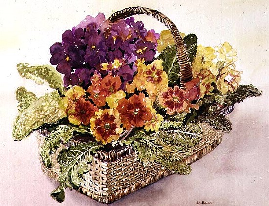Primulas in a Basket (w/c)  von Joan  Thewsey