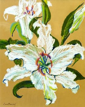 The white lilies