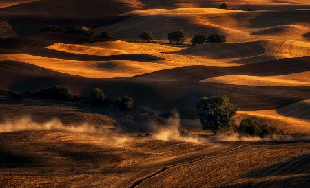 Palouse Weizenfeld im August