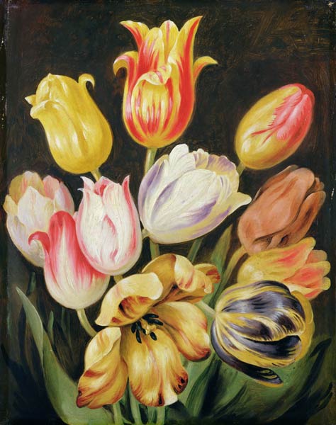Flower Study von Joh. Friedrich August Tischbein