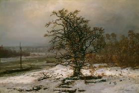 Eichbaum an der Elbe im Winter 1853