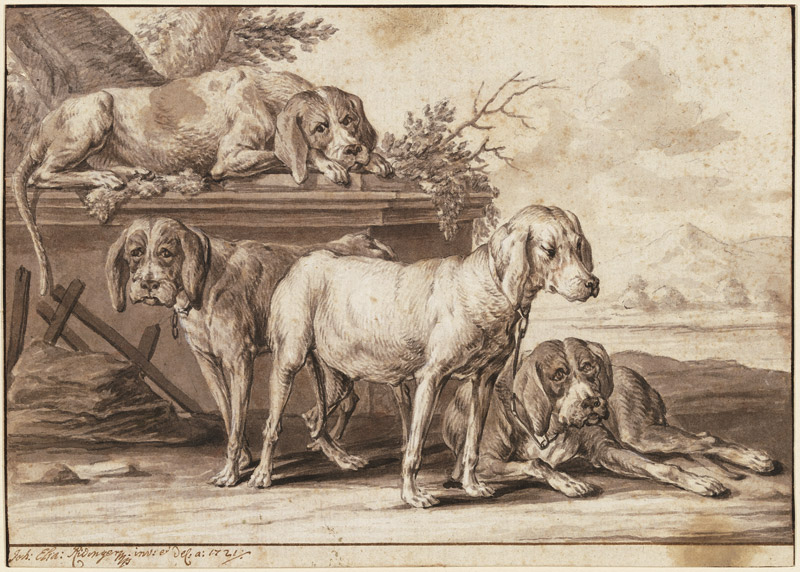 Vier Jagdhunde von Johann Elias Ridinger