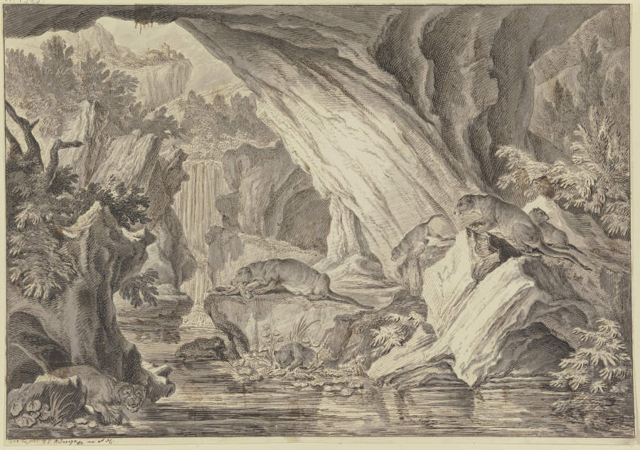 Sechs Fischotter in einer Felsenhöhle am Wasser von Johann Elias Ridinger