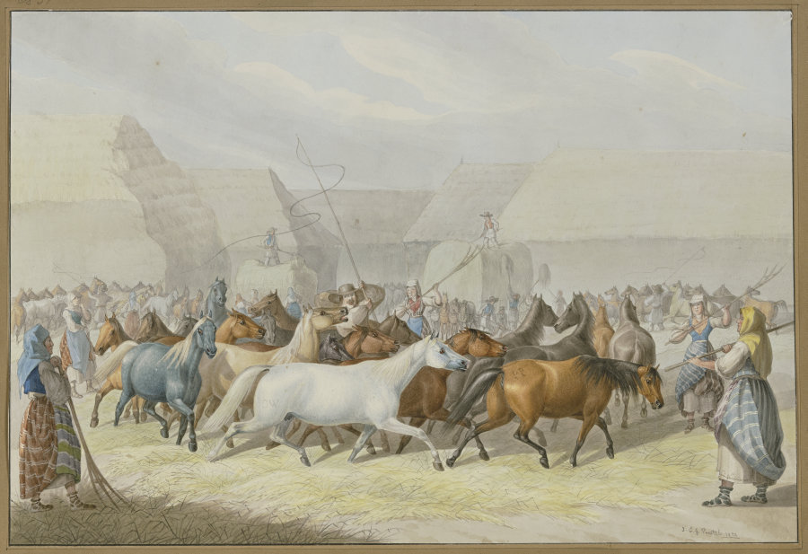 Darstellung des Fruchtdreschens mit Pferden in Syrmien (Slavonien) von Johann Erdmann Gottlieb Prestel
