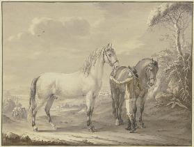 Neapolitanische Pferde
