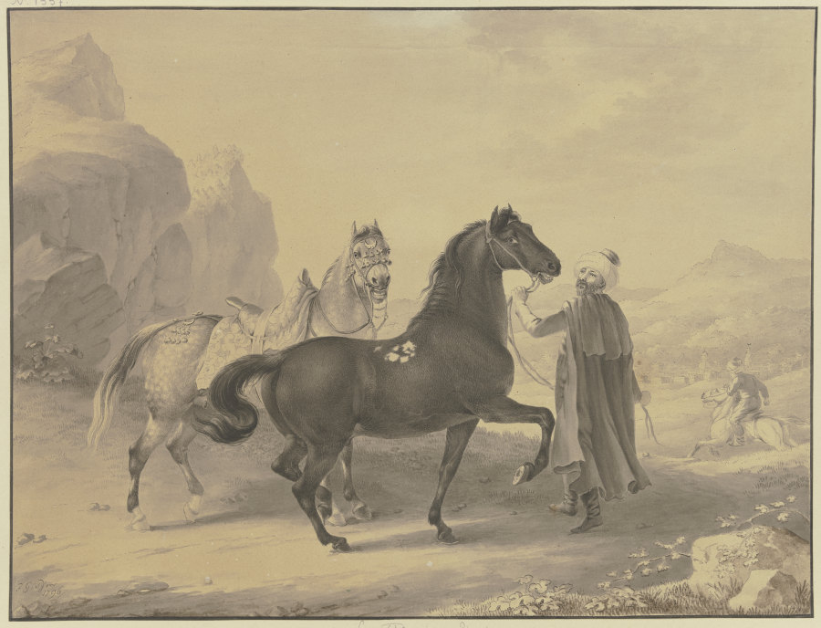 Türkische Pferde von Johann Georg Pforr