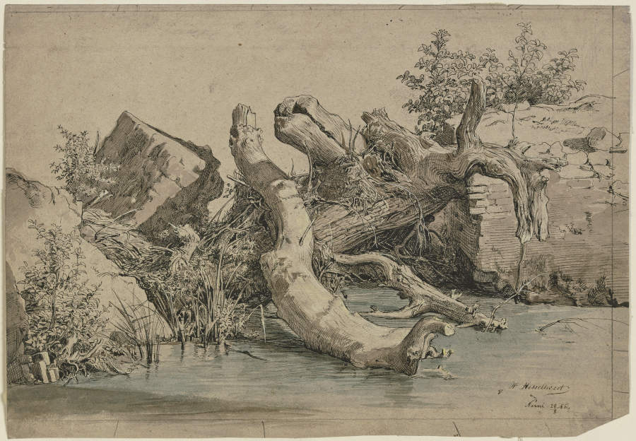 Gestürzter Baum an einem Bach von Johann Heinrich Hasselhorst