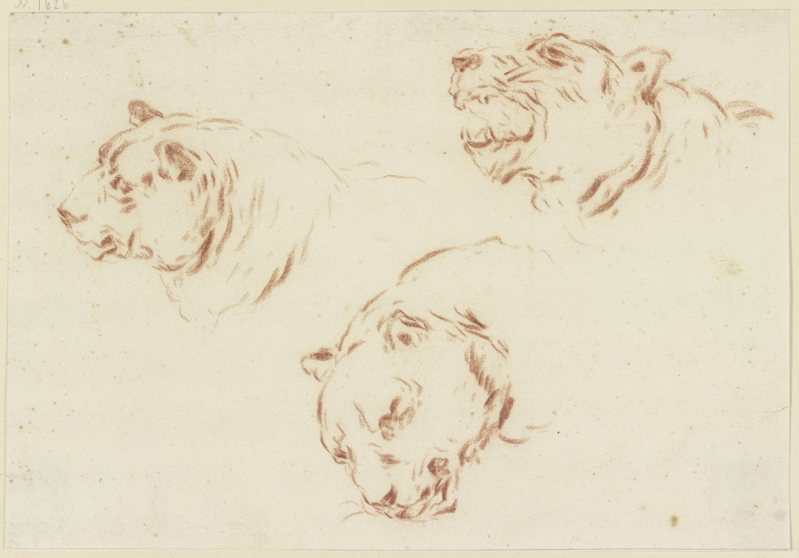 Drei Tigerköpfe von Johann Melchior Roos