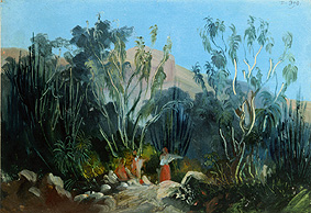 Jalapa et Cordoba. von Johann Moritz Rugendas