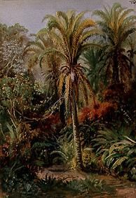 Tropische Vegetation von Johann Moritz Rugendas